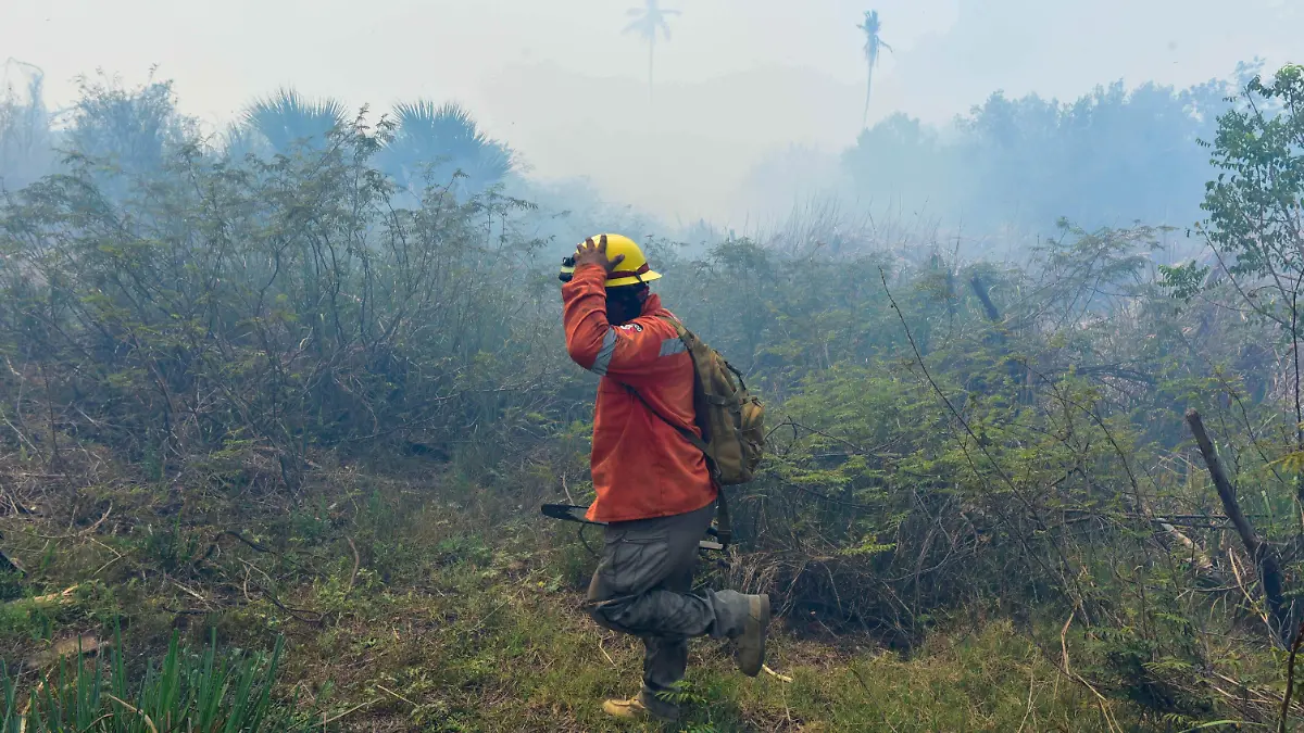 Incendio Forestal en Guerrero